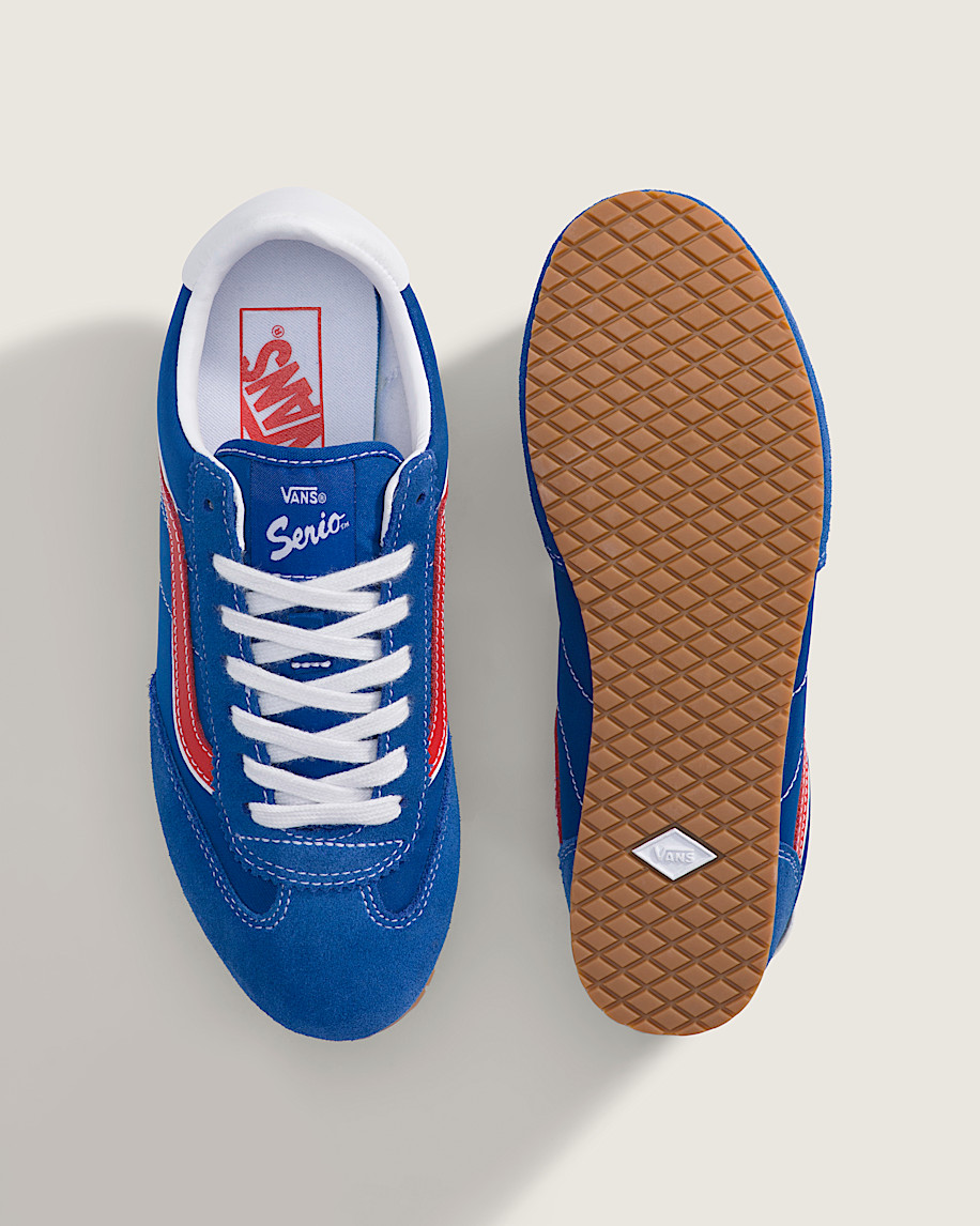 Super Lowpro Shoe VANS Blue ALT2