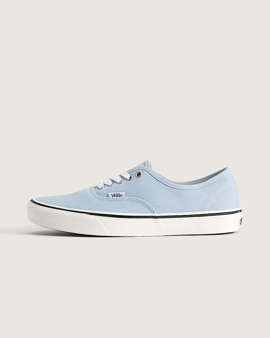 Authentic Shoe VANS DUCK CANVAS Soft Slate Blue HERO