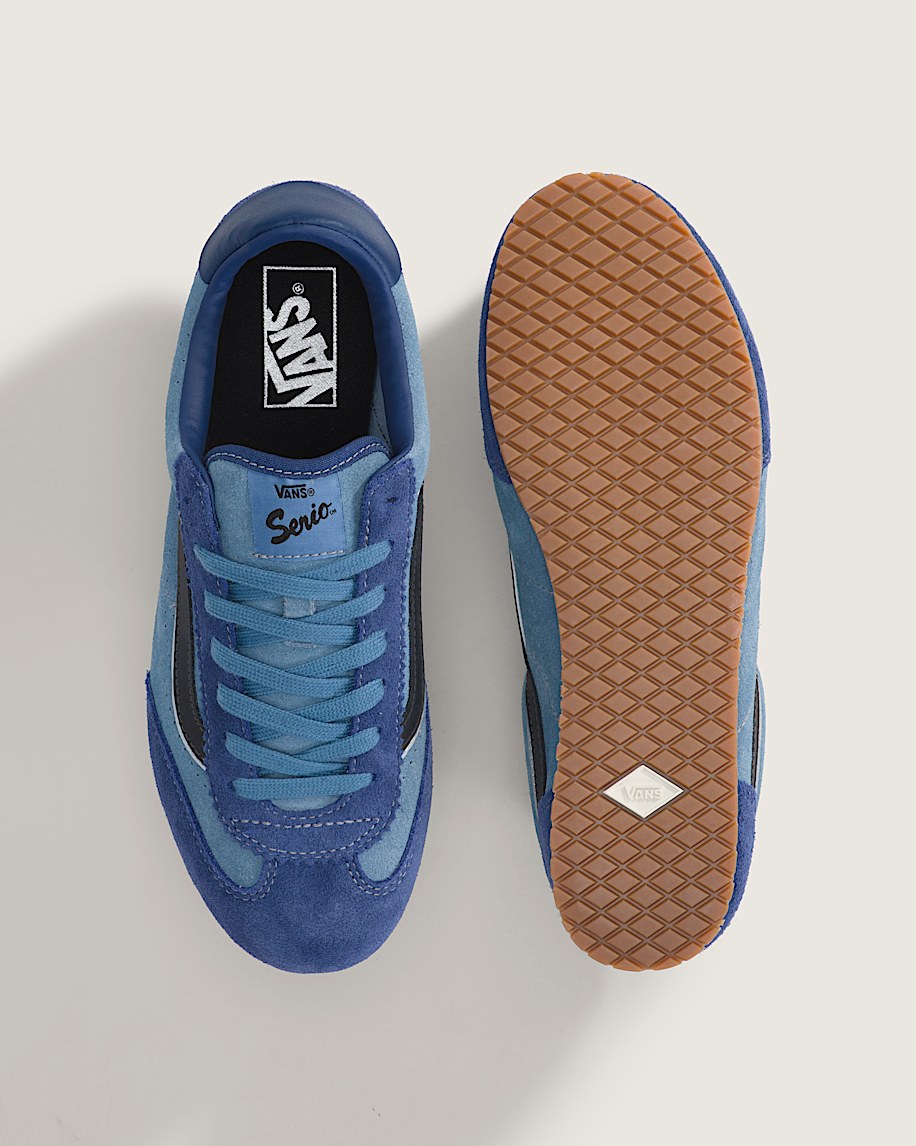 Super Lowpro Shoe VANS Blue ALT2