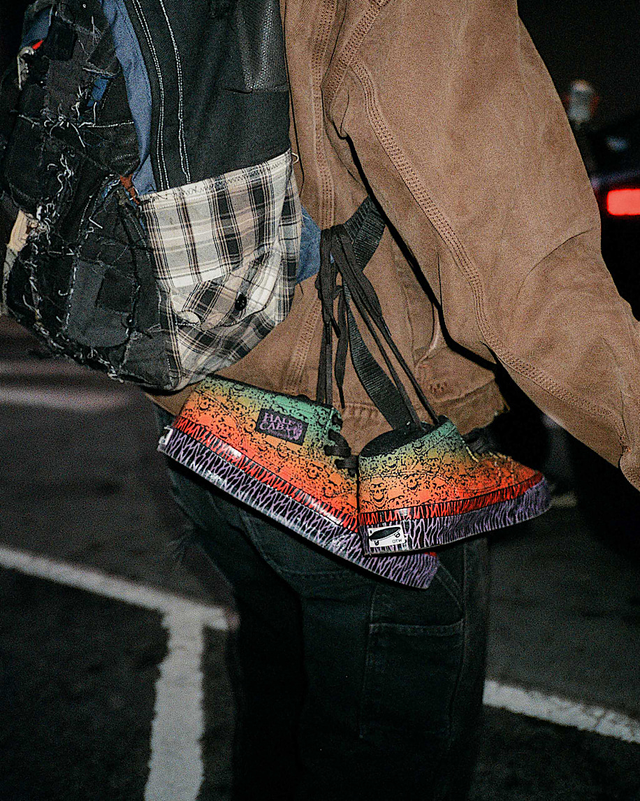 OTW by Vans x Bad Idea by Chito Half Cab 33 VANS Chito Skull ALT8