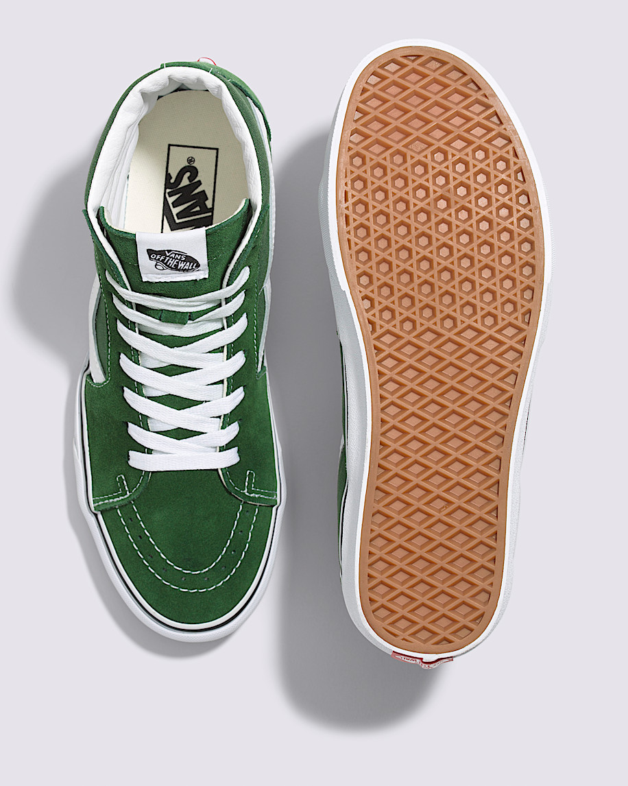 Sk8-Hi Shoe