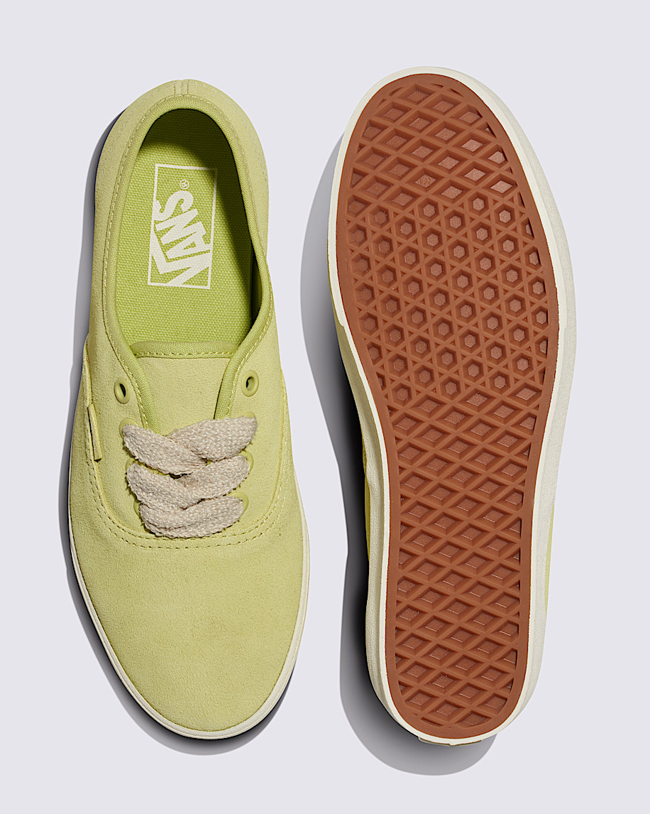 Authentic Lowpro Suede Shoe - 3