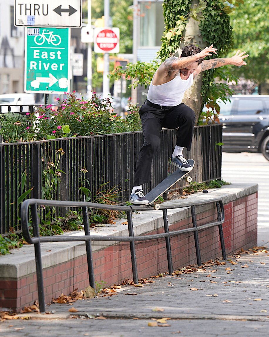 Skate Old Skool Elijah Berle Shoe - 2