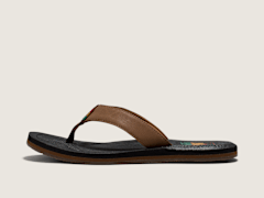Dachshund Brown/Black