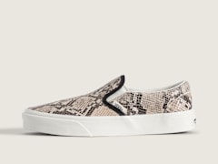 Python Turtledove White
