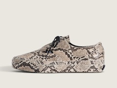 Python Turtledove White